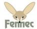 Fennec of Morocco