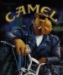 sir_camel