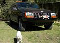 Jeep and puppy